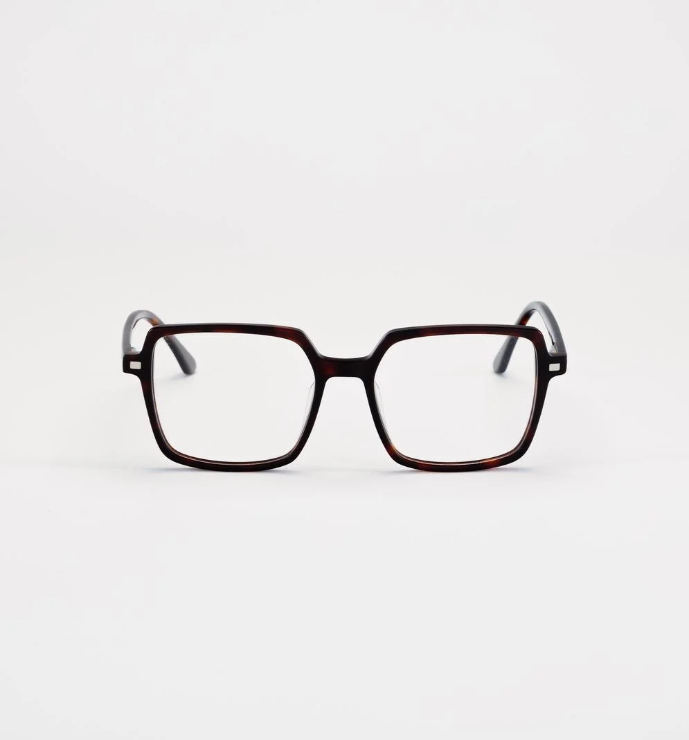 C.On.4, Brown, Tortoise